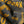 Closeup of the quilt design on the back of the t-shirt feature a Block C in a quilt pattern