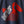 Surf Club Pelican T-Shirt