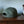 Raccoon Army Hat Back - Clayborn Brand